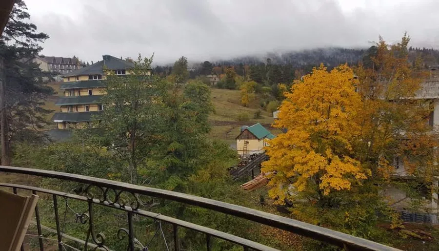 Панорама Бакуриани — Фото 11