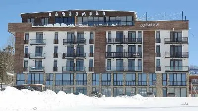 Апартамент Мгзавреби Бакуриани 319