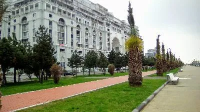 МАГНОЛИЯ